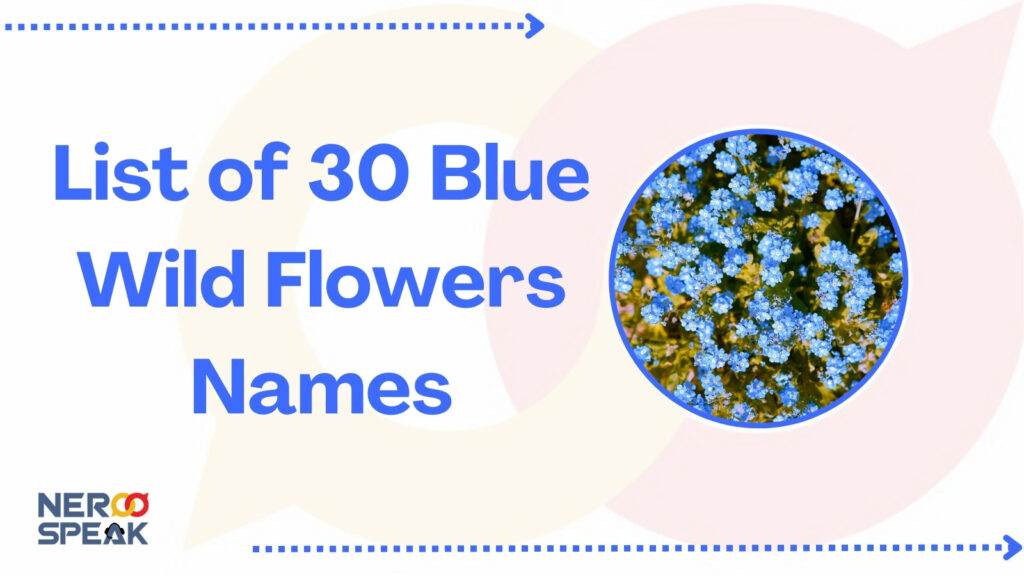 Blue Wild Flowers Names
