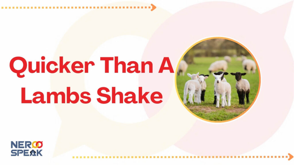 Quicker Than A Lambs Shake