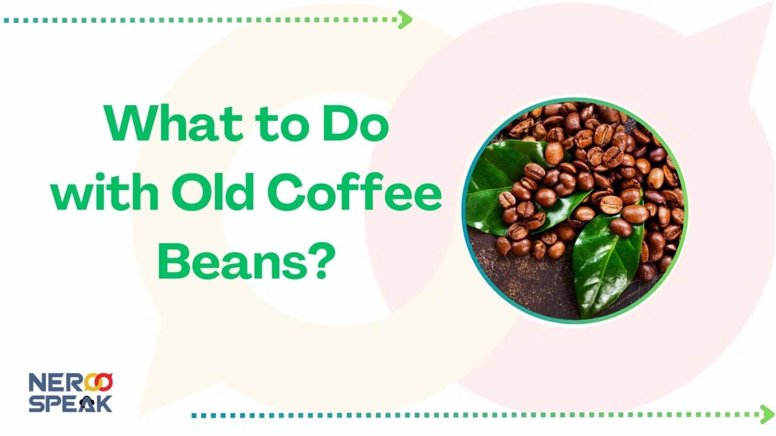 What to Do with Old Coffee Beans? Neroo Speak