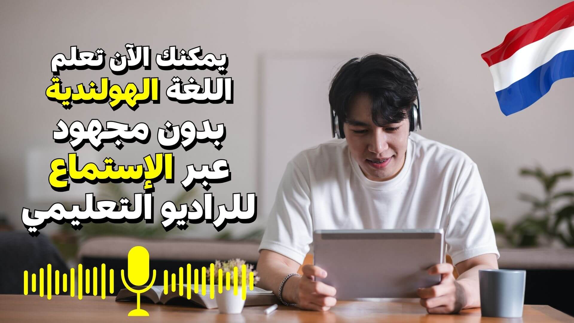 online courses dutch language